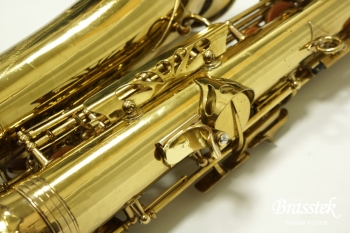 Alto Saxophone S1