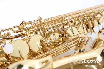 Alto Saxophone YAS-280