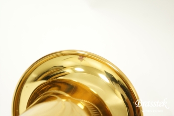 Soprano Saxophone YSS-875EXHG