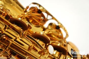 Alto Saxophone PRO ONE