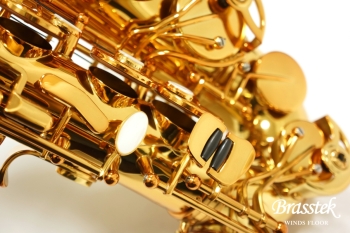 Alto Saxophone PRO ONE