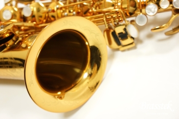 Alto Saxophone PRO ONE