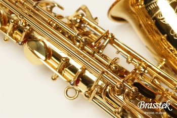 Alto Saxophone  YAS-875