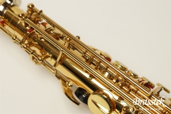 Alto Saxophone  YAS-875