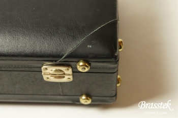 Alto Saxophone  YAS-875