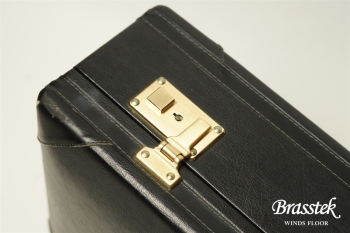 Alto Saxophone  YAS-875