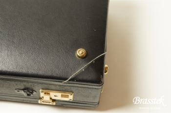 Alto Saxophone  YAS-875