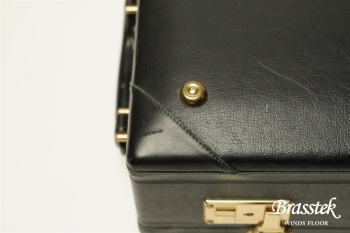 Alto Saxophone  YAS-875