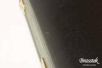 Alto Saxophone  YAS-875