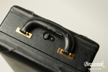 Alto Saxophone  YAS-875