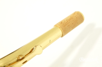 Alto Saxophone YAS-875