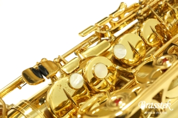 Alto Saxophone YAS-875