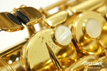 Alto Saxophone YAS-875