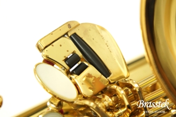 Alto Saxophone YAS-875