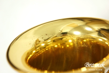 Alto Saxophone YAS-875