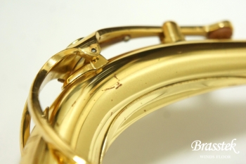 Alto Saxophone YAS-875