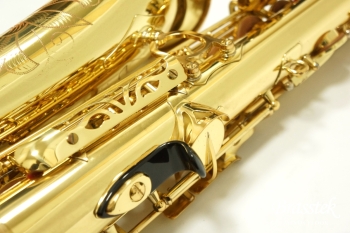 Alto Saxophone YAS-875