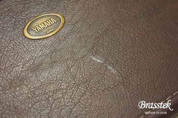 Alto Saxophone YAS-875