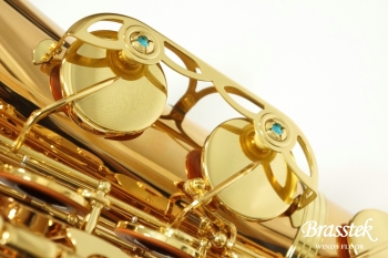 Tenor Saxophone  T-WO2