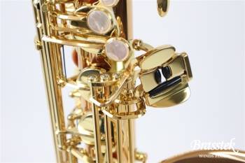 Tenor Saxophone T-WO2