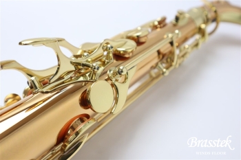 Tenor Saxophone T-WO2