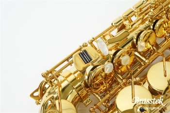 Alto Saxophone Signature 