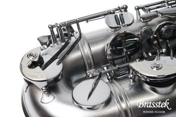 Tenor Saxophone T5 Bice B Raven