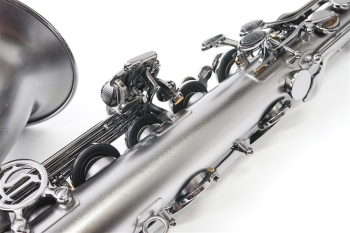 Tenor Saxophone T5 Bice B Raven