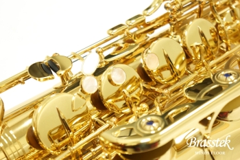 Tenor Saxophone T-WO10