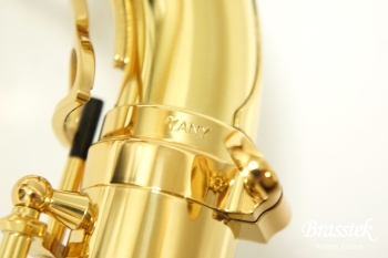 Tenor Saxophone T-WO10
