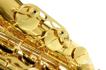 Tenor Saxophone T-WO10
