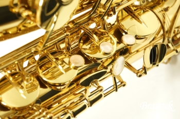 Tenor Saxophone T-WO10