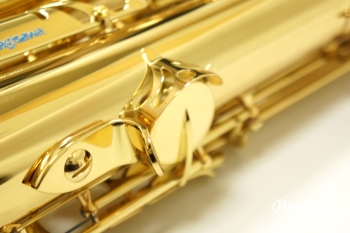 Tenor Saxophone T-WO10