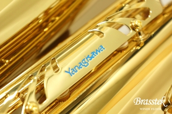 Tenor Saxophone T-WO10