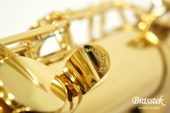 Tenor Saxophone T-WO10