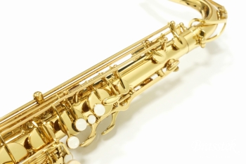 Tenor Saxophone Standard GL
