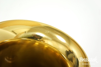 Tenor Saxophone Standard GL