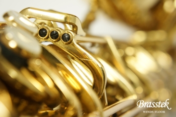 Tenor Saxophone Standard GL