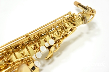Alto Saxophone YAS-875EX