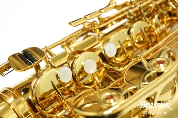 Alto Saxophone YAS-875EX