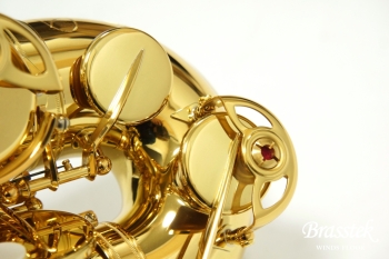 Alto Saxophone YAS-875EX