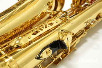 Alto Saxophone YAS-875EX