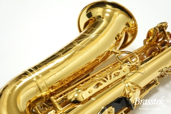 Alto Saxophone YAS-875EX