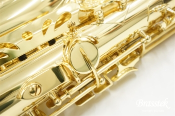 Alto Saxophone BC8101