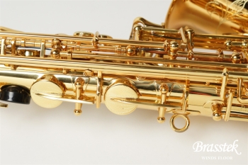 Alto Saxophone BC8401
