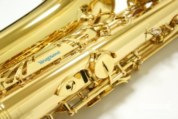 Alto Saxophone A-WO10