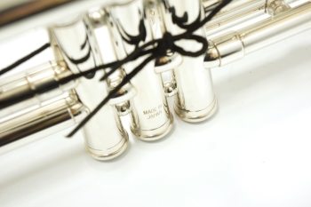 B♭Trumpet YTR-6310ZS