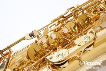 Tenor Saxophone T-WO1
