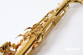 Tenor Saxophone T-WO1