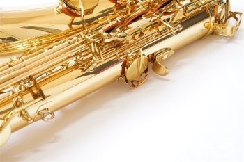 Tenor Saxophone T-WO1